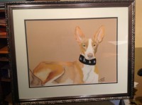 /album/galerie-photos/photo-843-jpg/